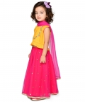 Embroidered Lehenga Choli With Dupatta