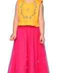 Embroidered Lehenga Choli With Dupatta