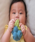 Oli & Carol Jerry The Blueberry Natural Rubber Teether