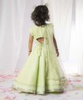 Green Chikankari Ghaghra Set