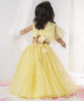 Yellow Mirror Ghaghra Set