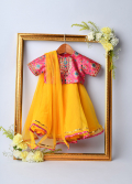 Patola Jamna Ghaghra Set