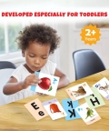 Big Alphabet Flash Cardss (32 Cards) | Fun Learning