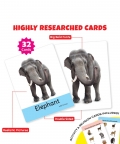 Numbers Flash Cardss (32 Cards) | Fun Learning