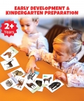 My First Animals Flash Cards-36 Cards - Fun Learning Game