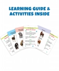 My First Animals Flash Cards-36 Cards - Fun Learning Game