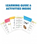 My First Transport Flash Cards-36 Cards - Fun Learning Game