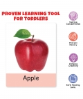 Fruits Flash Cardss (32 Cards) | Fun Learning