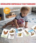 Animals Flash Cardss (32 Cards) | Fun Learning