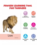 Big Flash Cards Fun And Early Learning Pack Of 6- 192 Cards