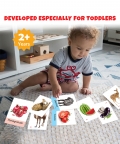 Cards Fruits Vegetables And Animals Pack Of 3-96 Flash Cards