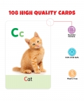Alphabets Numbers & Hindi Varnmala Pack Of 3-108 Flash Cards