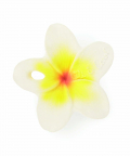 Oli & Carol Hawaii The Flower Chewy Teether