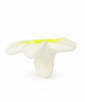 Oli & Carol Hawaii The Flower Chewy Teether