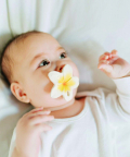 Oli & Carol Hawaii The Flower Chewy Teether