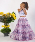 Blouse With Printed Layered Organza Lehenga