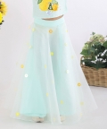 Top With Embellished Organza Lehenga