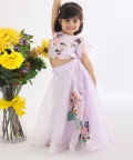 Top With Floral Cutwork Lehenga
