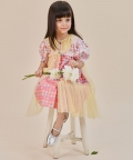 The Chantelle Dress