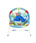 Music Vibrations Bouncer