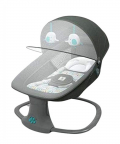 Deluxe Multi-Function Swing