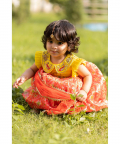 Orange Ikkat Ghagra Set