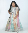 Multicolored Lehnga Set