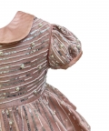 Pearl Studded Dress