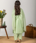 Straight Embroidered Kurta Set - Green