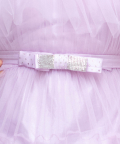 Aarisha Dress