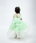 Green Sequins Net Dress