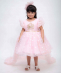 Pink Star Net Dress