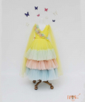 Multi Color Net Layers Gown