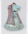 Blue Sequins Strips Lehenga Choli Set