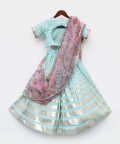 Blue Sequins Strips Lehenga Choli Set