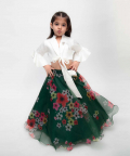Green Printed Organza Lehenga With Tie Knotted Top