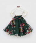 Green Printed Organza Lehenga With Tie Knotted Top