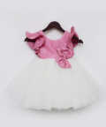 Pink Shimmer And White Glitter Net Frock