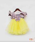 Pink Shimmer And Yellow Glitter Net Frock
