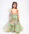 Peach Choli with Green Printed Organza Lehenga and Dupatta