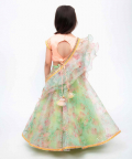 Peach Choli with Green Printed Organza Lehenga and Dupatta
