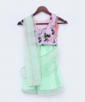 Peach Printed Choli With Drape Saree