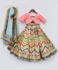Pink Choli With Embroidery Lehenga And Organza Dupatta