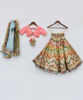 Pink Choli With Embroidery Lehenga And Organza Dupatta