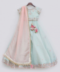Blue Mirror Embroidery Organza Lehenga Choli