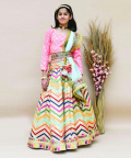 Pink Choli With Embroidery Lehenga