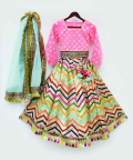 Pink Choli With Embroidery Lehenga