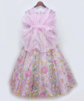Lilac Embroidery Lehenga With Organza Cape