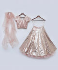 Peach Sequins Choli And Lehenga Set