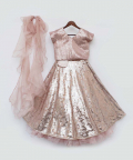 Peach Sequins Choli And Lehenga Set
